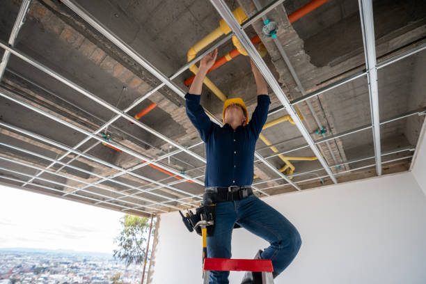 Best Plumbing Services Near Me  in Galatia, IL